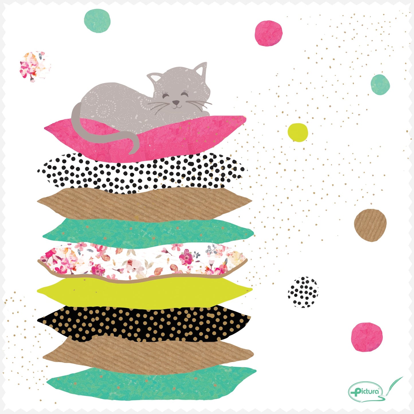 Cushions & Cat  Smart Cloth
